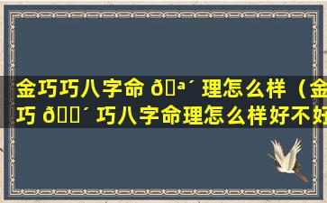 金巧巧八字命 🪴 理怎么样（金巧 🌴 巧八字命理怎么样好不好）